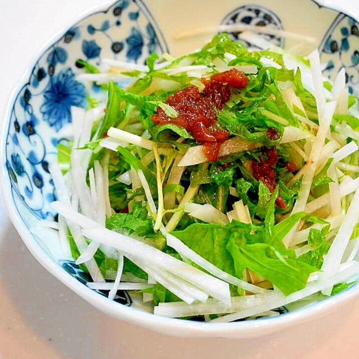 サッパリとした箸休め 大根と三つ葉の梅しそサラダ レシピ 作り方 By Oppeke22 楽天レシピ サッパリとした箸休め 大根と三つ葉の梅しそサラダ レシピ 作り方 By Oppeke22 楽天レシピ